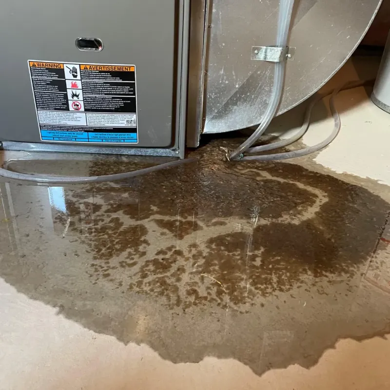 Appliance Leak Cleanup in Andrew County, MO