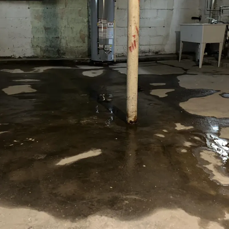 Emergency Water Extraction And Removal in Andrew County, MO